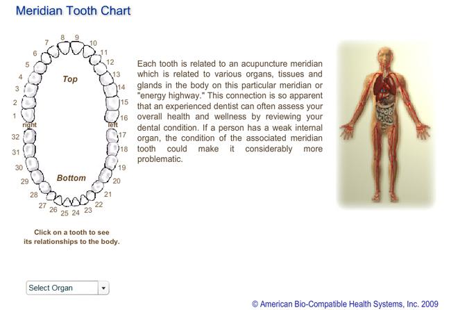 interactive meridian tooth chart