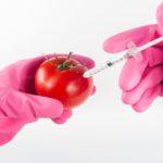 injecting a tomato